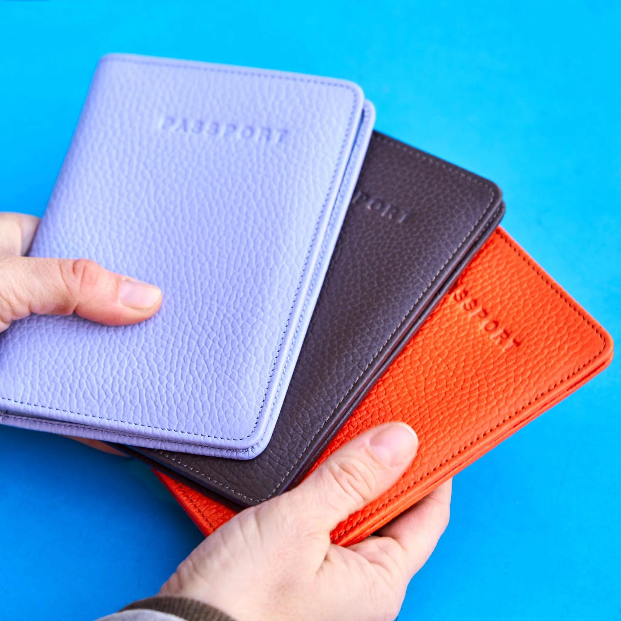 Ascot | Passport Wallet